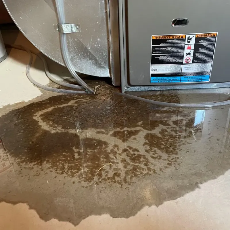 Pipe Burst and Leak Restoration in Pleasant Ridge, MI