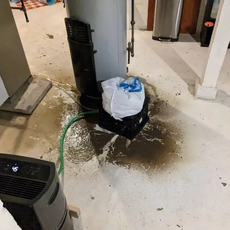 Sewage Backup Cleanup Service in Pleasant Ridge, MI